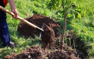 گشايش نوروزي باغ ها و بوستان هاي شيراز به روي شهروندان
