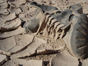 خاطرات دوران دفاع مقدس بازخوانی شود