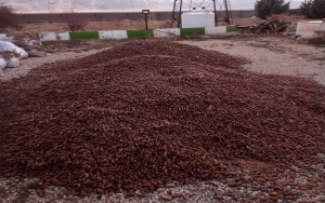 کشف و ضبط پنج تن بذر بلوط قاچاق در ارژن  &nbsp;