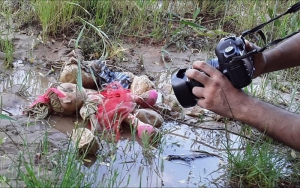 عروسک های شیرازی در جشنواره ی امید، جانی دوباره گرفتند