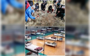 دو تصوير در يک قاب